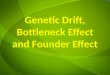 Genetic Drift, Bottleneck Effect and Founder Effect