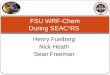 FSU WRF- Chem During SEAC 4 RS