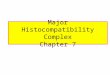 Major Histocompatibility Complex Chapter 7