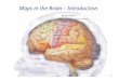 Maps in the Brain – Introduction