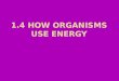 1.4 How Organisms use energy