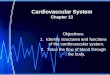 Cardiovascular System Chapter 13