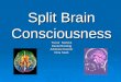 Split Brain Consciousness Trevor  Norlock Daniel Bowling Adrienne Keener Dina Saab