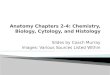 Anatomy Chapters 2-4: Chemistry, Biology, Cytology, and Histology