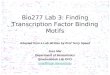 Bio277 Lab 3: Finding Transcription Factor Binding Motifs
