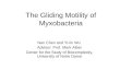 The Gliding Motility of Myxobacteria