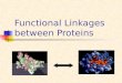 Functional Linkages between Proteins