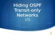 Hiding OSPF Transit-only Networks