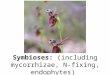 Symbioses:  (including mycorrhizae, N-fixing, endophytes)