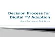 Decision Process for  Digital TV  Adoption