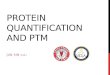 Protein quantification and PTM