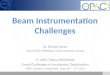 Beam  I nstrumentation Challenges