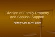 Division of Family Property and Spousal Support