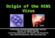 Origin of the H1N1 Virus