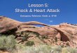 Lesson 5: Shock & Heart Attack  Emergency  Reference  Guide  p.  67-69