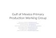 Gulf of Mexico Primary Production Working Group