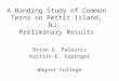 A Banding Study of Common Terns on Pettit Island, NJ:  Preliminary Results
