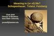 Meaning in (or of) life?  Schopenhauer, Tolstoi, Feinberg