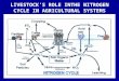 LIVESTOCK’S ROLE INTHE NITROGEN CYCLE IN AGRICULTURAL SYSTEMS