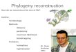 Phylogeny reconstruction
