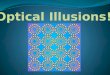 Optical Illusions!