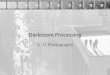 Darkroom Processing