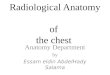 Radiological Anatomy  of  the chest