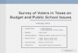 Survey of Voters in Texas on Budget and Public School Issues