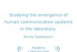 Studying the emergence of human communication systems in the laboratory  Bruno Galantucci