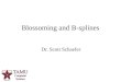 Blossoming and B-splines
