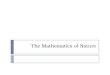 The Mathematics of Nature