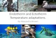 Endotherm and Ectotherm Temperature adaptations