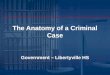 The Anatomy of a Criminal Case