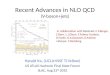 Recent Advances in NLO QCD (V- boson+jets )