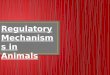 Regulatory Mechanisms in Animals
