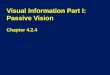Visual Information Part  I: Passive Vision