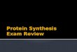 Protein  S ynthesis Exam Review