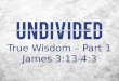 True  Wisdom – Part 1 James 3:13-4:3