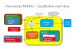 Manawatu MIMES -  Qualitative overview