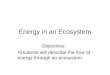 Energy in an Ecosystem