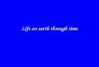Life on earth through time