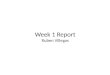Week 1 Report Ruben Villegas