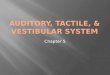 Auditory, tactile, & Vestibular system