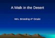 A Walk in the Desert Mrs. Breeding 4 th  Grade