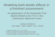 Modeling bark beetle effects in a fireshed assessment