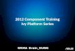 2012  Component  Training Ivy Platform Series