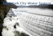 New York City Water System