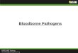 Bloodborne  Pathogens