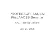 PROFESSOR  ISSUES: First AACSB Seminar