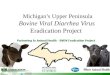 Michigan’s Upper Peninsula Bovine Viral Diarrhea Virus  Eradication Project